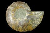 Cut & Polished Ammonite Fossil (Half) - Madagascar #166889-1
